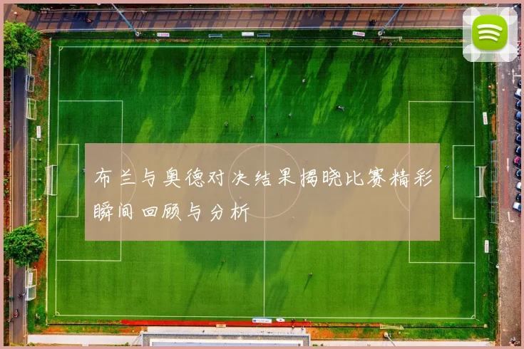 布兰与奥德对决结果揭晓比赛精彩瞬间回顾与分析