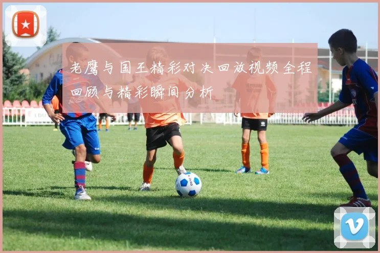 老鹰与国王精彩对决回放视频全程回顾与精彩瞬间分析