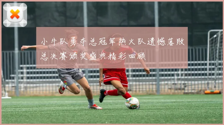 小牛队勇夺总冠军热火队遗憾落败总决赛颁奖盛典精彩回顾