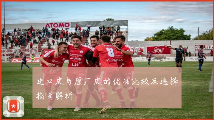 进口皮与原厂皮的优劣比较及选择指南解析