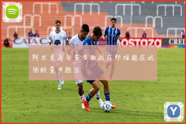 阿尔克马与芬洛激战在即谁能在这场较量中胜出