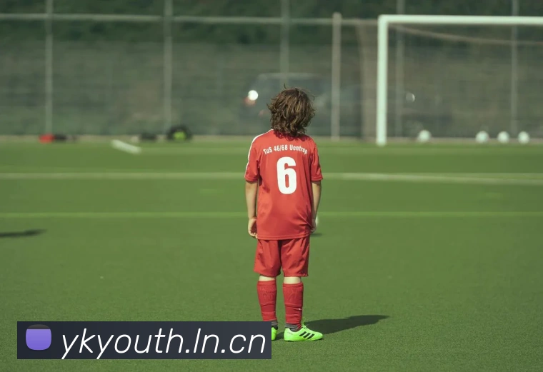 必一体育平台生态图