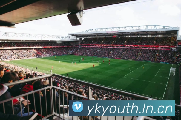 必一体育APP 封面图